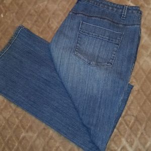 Coldwater Creek, Jeans, 29" inseam, 12" rise